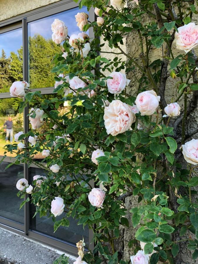 Lulu En Provence Bed & Breakfast ลีล-ซูร์-ลา-ซอร์ก ภายนอก รูปภาพ
